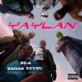 YAYLAN (Explicit)