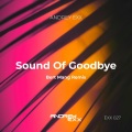 The Sound of Goodbye (Radio Edit)