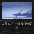 人间总有一两风(翻唱)