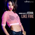 Dennis Blaze - Like Fire