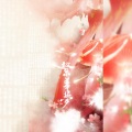 墨凰兮 - 繁华梦