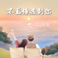 不后悔遇到你 (DJ何友 remix)