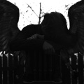 Anteros (Explicit)