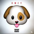 Asco、Owey - The Set Don’t Love em (feat. Asco)(Explicit)