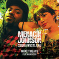 Duke WestLake、Menacin Johnson - What It Means (feat. Rain Bisou)(Explicit)