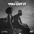 You Got It (Explicit)