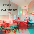 Valero Gv - Testa
