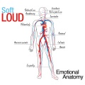 Softloud - Calf