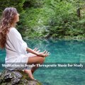 Meditation in Jungle Therapeutic Music for Study