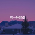 有一种悲伤