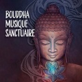 Bouddha musique sanctuaire (Méditation spirituelle, Bols tibétains, Musique calme hz)