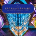 吕思清 - 流浪者之歌
