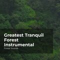 Greatest Tranquil Forest Instrumental