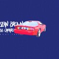 Sean Brown - Puddles