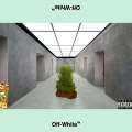 Global Dan、Mongo - Off White (feat. Global Mongo)(Explicit)