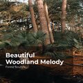 Beautiful Woodland Melody