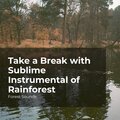 Take a Break with Sublime Instrumental of Rainforest