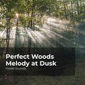 Perfect Woods Melody at Dusk