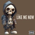 Like Me Now (Explicit)