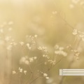 Relaxing Music For You、Meditation Music For You、Sleep Music - Meditate