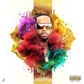 Ayo Jay、Akon、Safaree - No Feelings (Explicit)