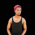 Young Sgage - Vandal