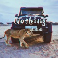 Nothing