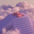 张阿怪 - 野花做了一场玫瑰花的梦