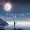 真真敬 - 情深缘浅梦难圆