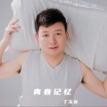 丁玉龙 - 烟雨唱扬州