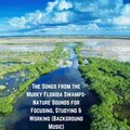 The Songs from the Murky Florida Swamps- Nature Sounds for Focusing, Studying & Working (Background Music)