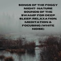 Songs of the Foggy Night- Nature Sounds of the Swamp for Deep Sleep, Relaxation, Meditation & Focusing (White Noise)