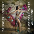 Danse du ventre: Danse de l'Égypte ancienne, Danse du ventre du Moyen-Orient, Danse du ventre solo
