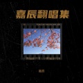 嘉辰 - 落纸三千