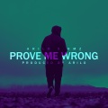 Prove Me Wrong (feat. HMz)