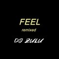 FEEL (remix)