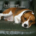 Dog Dreamscape: Tranquil Pink Noise for Blissful Rest