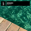 Bitrarex - Sax Pistols