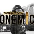 One Mic Freestyle, Pt. 2 (feat. Thunder Bklu)(Explicit)