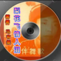 马有振 - 梨花飞情人泪