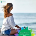 Robin Hayes - Absolute Calmness Meditation
