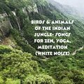 Birds & Animals of the Indian Jungle- Songs for Zen, Yoga, Meditation (White Noise)