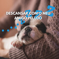 Música de Cachorro Calmante、Música Para Cães Adormecidos、Música Para Cães - Centro Cão da Paz