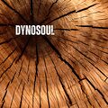 dynosoul - AKIŞ