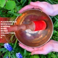 chris wilson - Balancing Soft Meditation
