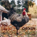 Tembit - Barn Deep