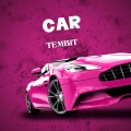 Tembit - Car Alarm
