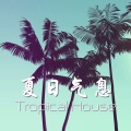 夏日气息 - 夏日情绪的14首热歌和DJ舞曲,动感舞曲,热带浩室音乐