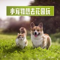 小宠物音乐、狗狗安眠曲、猫咪安眠曲 - 古典音乐