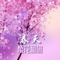 钢琴音乐、玫瑰的初恋 - 背景音乐